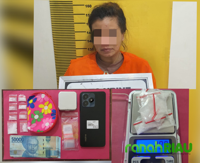 Diduga Pengedar Sabu, Perempuan Berwajah Jerawat Diringkus Satnarkoba Polres Bengkalis