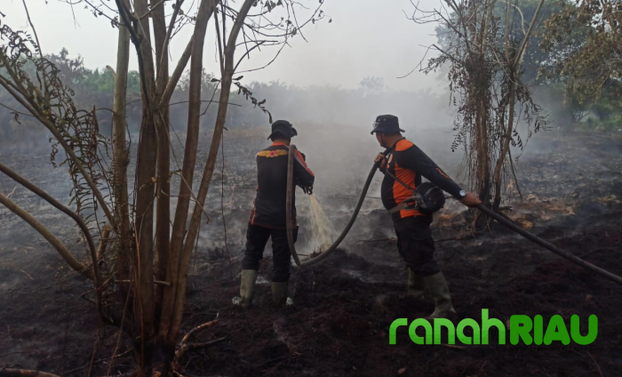 Terpantau Ada 400 Titik Hotspot Selama 2023, Begini Penjelasan Kelaksa BPBD Inhil