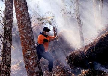Pembentukan Tim Satgas Karhutla Riau Akan Digelar Pekan Depan