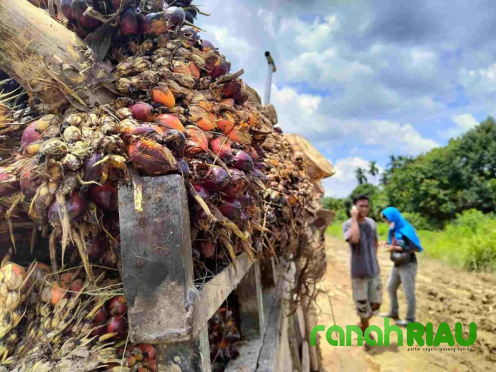 Riau Didorong maksimalkan Peluang Ekonomi Hijau di Tengah Goncangan Ekonomi Global