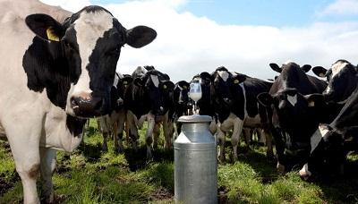 Hari Susu Sedunia, Tingkat Konsumsi Susu di Indonesia masih Rendah