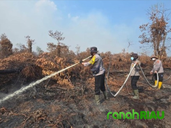 Polda Riau Ungkap 55 Kasus Karhutla, Ribuan Hektare Lahan Terbakar