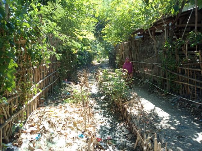  Irigasi Juga Pengaruhi Luas Tanam Petani   