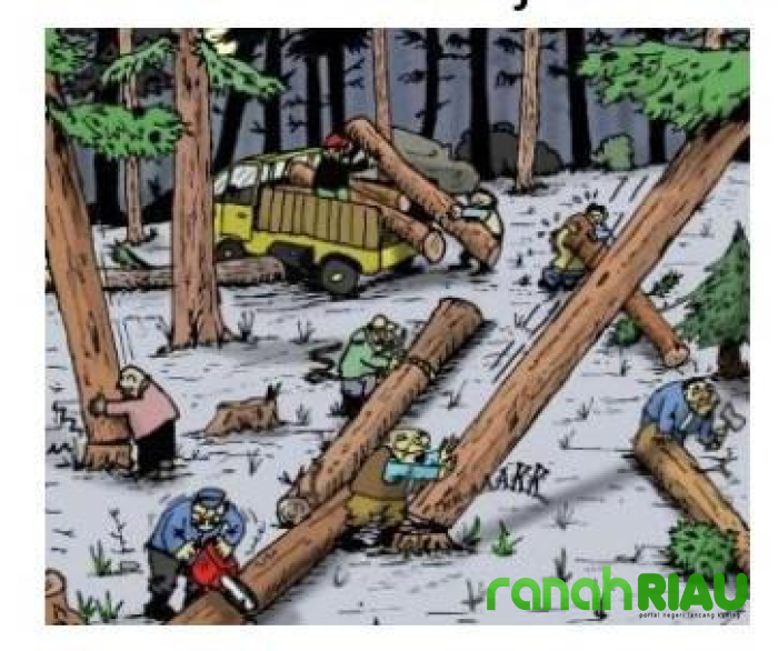 Dugaan kawasan Hutan disulap jadi lahan Sawit, Pembina PPRI: Miris... 