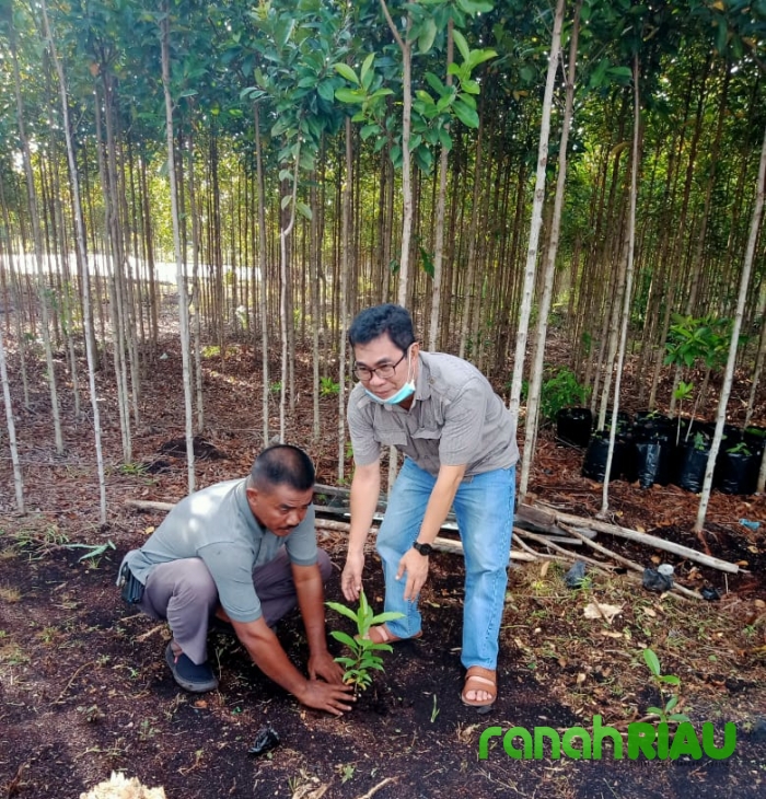 Direktur BUMPD Siap Tindak Lanjut Arahan Pj Bupati Bengkalis