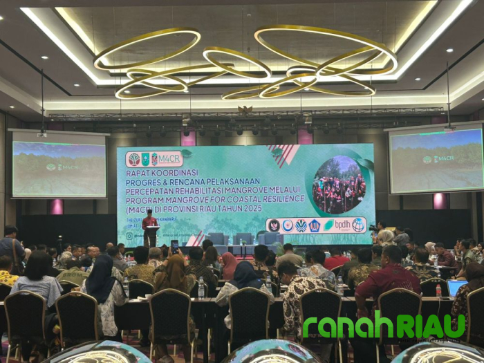 Pemprov Riau himbau Masyarakat Jaga Mangrove: Menanam Saja, Bukan Pekerjaan yang Mudah 