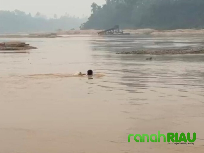 Diterjang Arus Deras, Kanit Reskrim Polsek Cerenti Tumpas 10 Rakit PETI di Sungai Kuantan