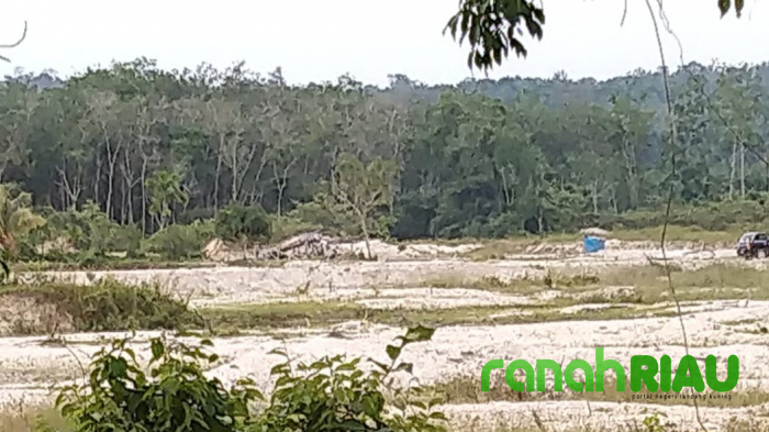 Tampak Jelas Dari Jalan Raya, Polisi Diminta Tindak Tegas Pemodal PETI di Desa Beringin Taluk