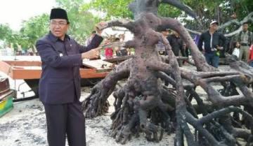 Pemkab Inhil Benahi Area Wisata