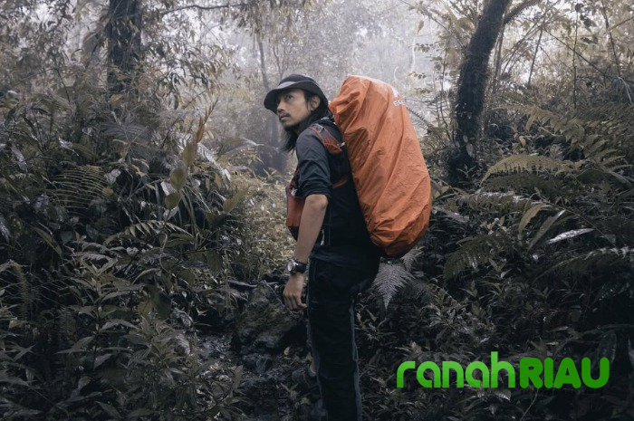Kondisi Terkini Fiersa Besari, Dievakuasi dari Puncak Cartensz: Begini Insiden yang dialami