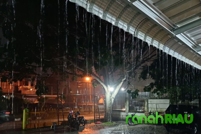 Prakiraan Cuaca di Riau, BMKG: Waspada Hujan Lebat dan Petir Malam Hari