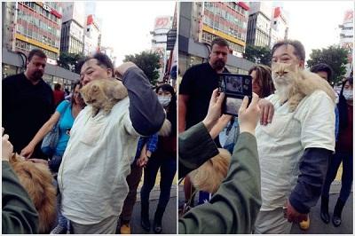 Viral.... Foto seorang Pria yang jalan dengan 9 kucingnya pake kereta dorong