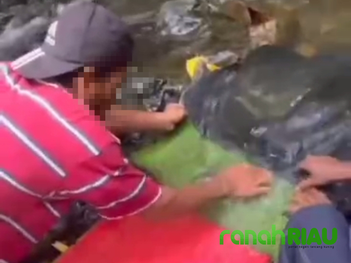 Kadis Pariwisata Kuansing Akan Panggil Oknum Pembuat Konten Tiktok di Air Terjun Sungai Kandi