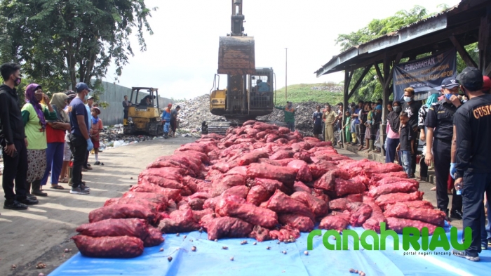BC Bengkalis Lakukan Pemusnahan Barang Bukti 1.155 Karung Bawang Merah Ilegal