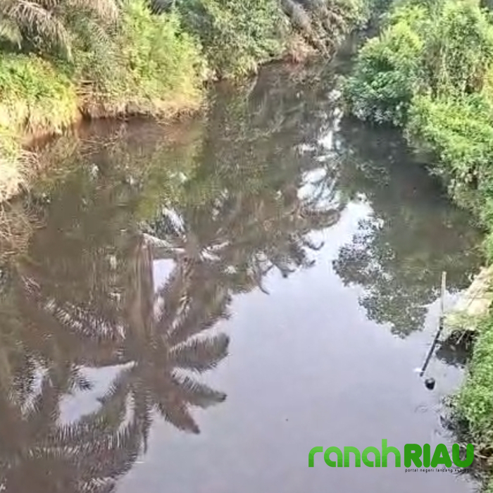 Jebol Lagi! Limbah PT SKA Racuni Sungai Batang Kering, Warga Kamang Baru Meradang
