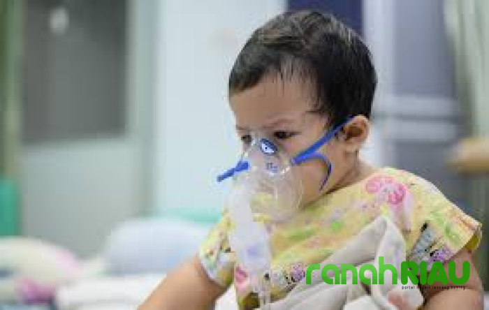 Virus HMPV Ditemukan di Indonesia, Menkes: Mirip Flu Biasa, Tidak Perlu Panik