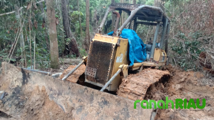 Polhut Kesulitan Tangkap Pelaku Ilog di Kuansing, Alat Berat yang Disita pun Raib