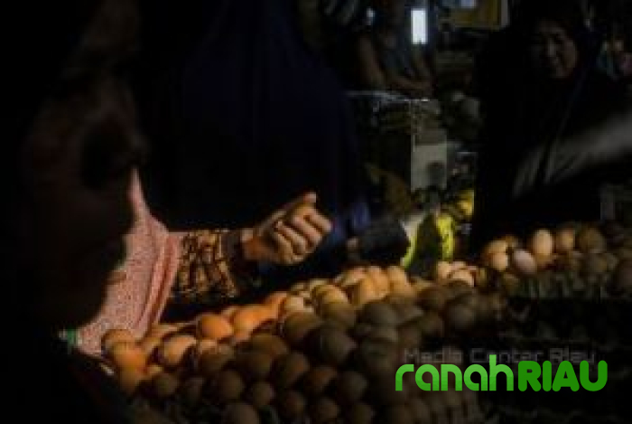 Stok Pangan Riau Aman 6 Bulan kedepan, Pemprov Waspadai Kenaikan Harga jelang Ramadan