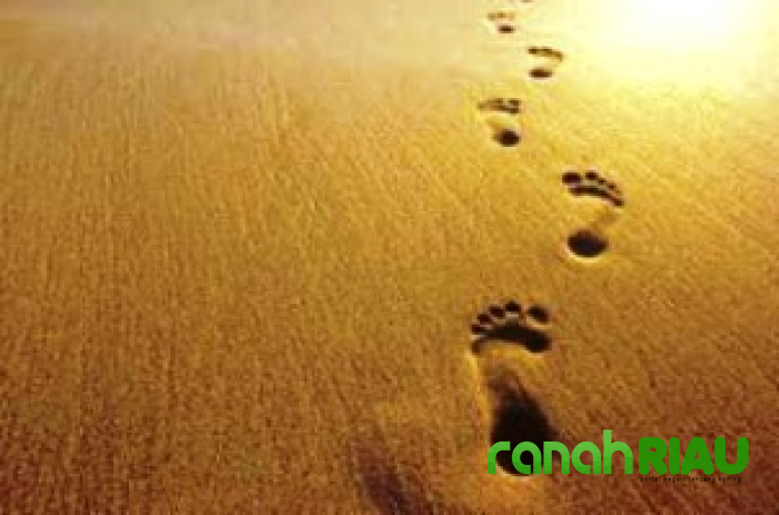 Puisi tentang Pencarian: Si Pengembara, karya Junaidah Sidabalok