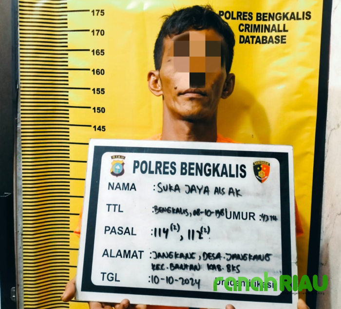 Satnarkoba Polres Bengkalis Ringkus Seorang Warga Jangkang Edarkan Narkoba