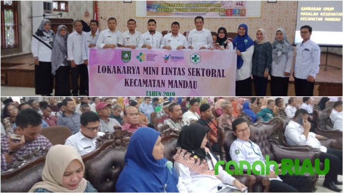 Dinkes Bengkalis Bentuk POKJANAL P3 DBD di Kecamatan Mandau