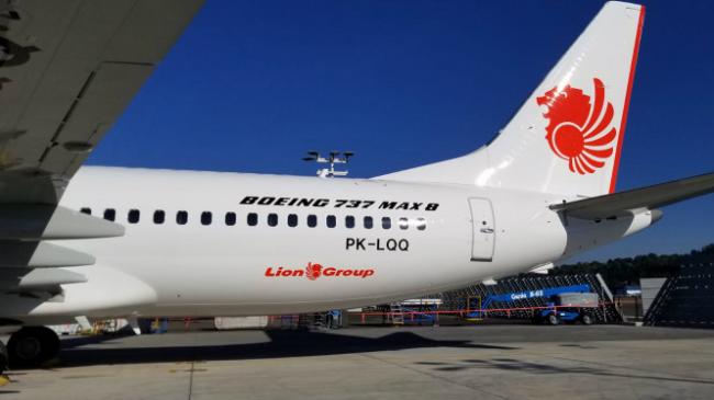 Penyebab Jatuhnya Lion JT-610 Terungkap, Siapa Salah?