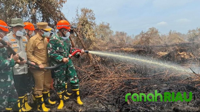 Aksi Heroik Jenderal Bintang Dua Pangdam I/BB Padamkan Karhutla di Kepenghuluan Teluk Nilap