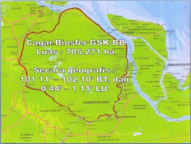 Komnas HAM Dukung Penyelamatan Cagar Biosfer di Siak