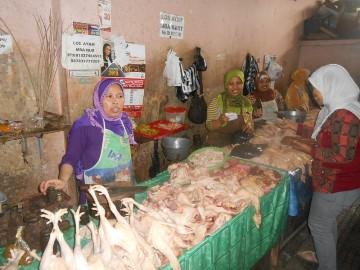 Harga Ayam Potong di Pekanbaru Tembus Rp35 Ribu per Kg