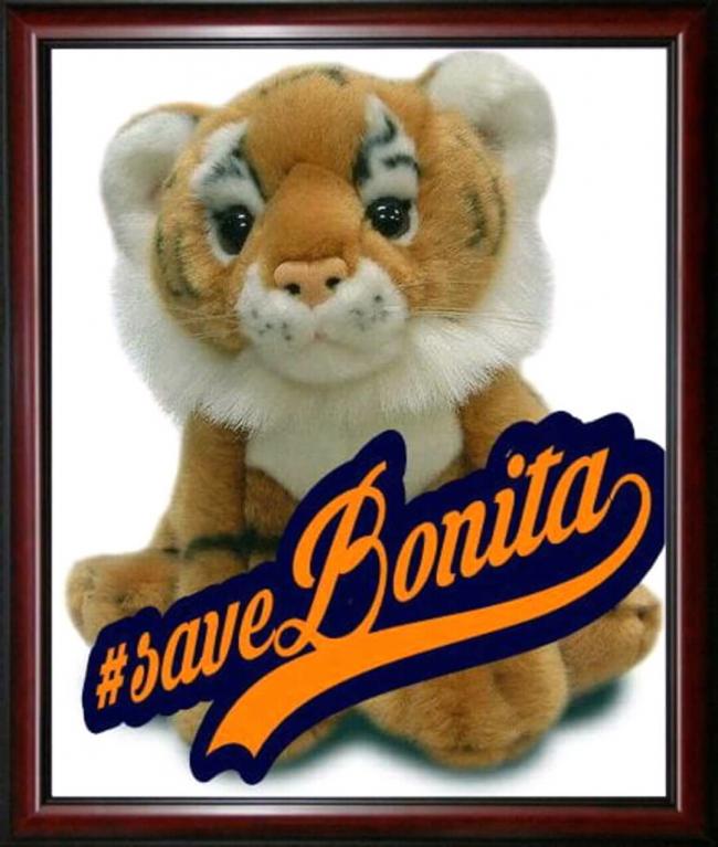 Kerap Menggangu Warga, Bonita Kini Tengah Di Cari Sniper... 