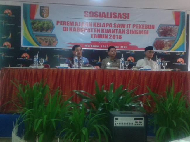 H. Halim : Memasuki Usia Replanting, Petani Sawit Harus Diberikan Bimbingan