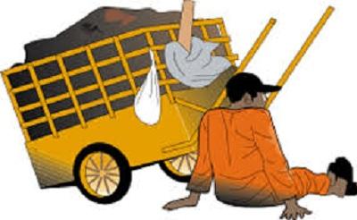 Dari RT Dipecat Lurah Hingga Dugaan Adanya Retribusi Ganda Jadi Sorotan Warga...