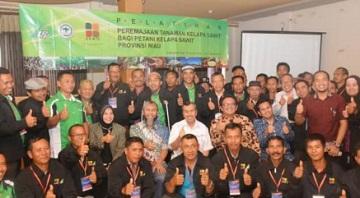 Syamsuar Buka Kegiatan Pelatihan Peremajaan Kelapa Sawit