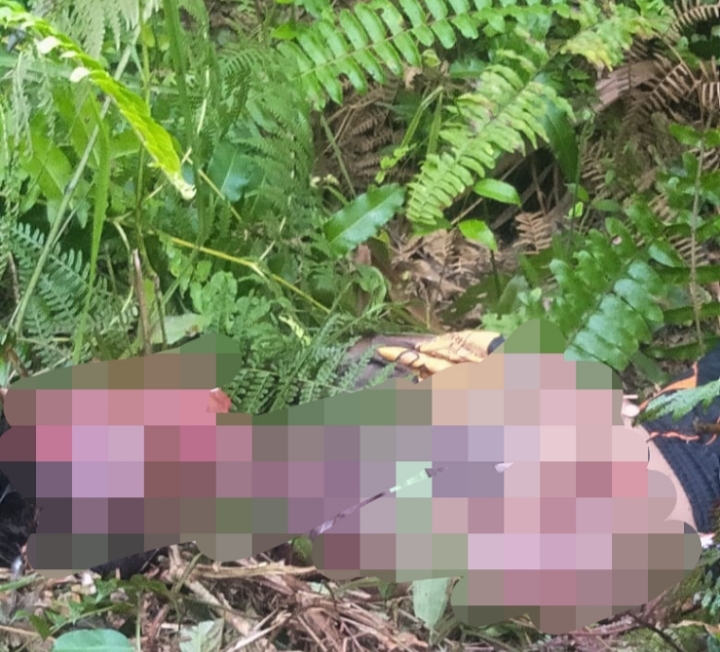 Sadis! Bocah 12 Tahun di Bengkalis Jadi Korban Pembunuhan 