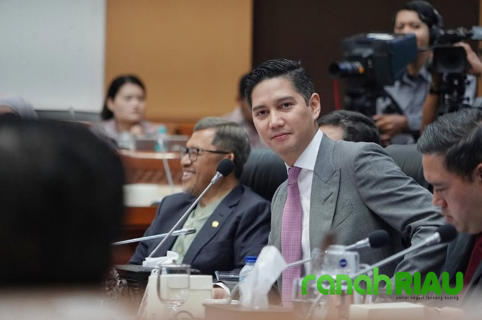 Tepis Isu RUU TNI Hidupkan Dwifungsi ABRI, Keponakan Prabowo Jamin Tak Ada Prajurit Aktif di BUMN