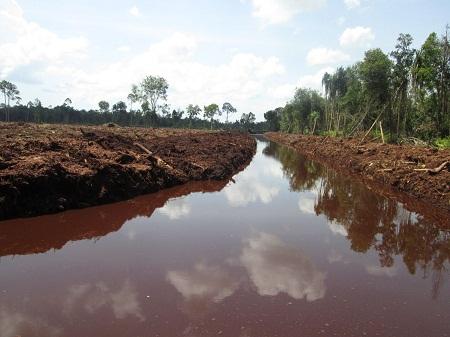 Pencabutan Izin HTI Akan Mengembalikan Martabat Rakyat Riau
