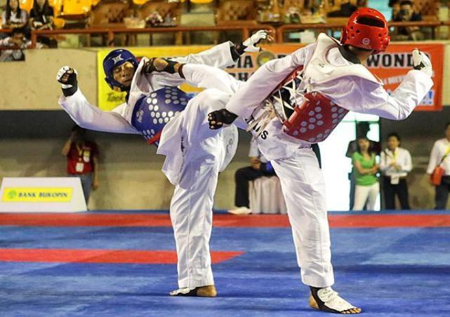 Lee Sun-Jae, Harus sesuai dengan  Federasi Taekwondo Dunia (WTF) dan sistem