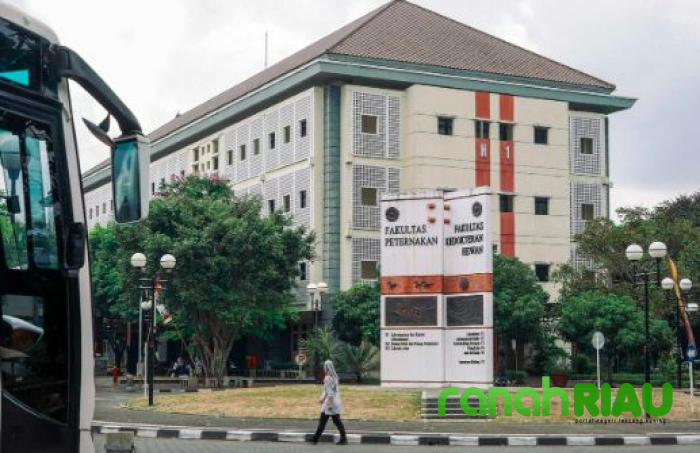 Mendiktisaintek Pastikan UKT Tidak naik dan Minta Sampaikan hal Ini ke Universitas