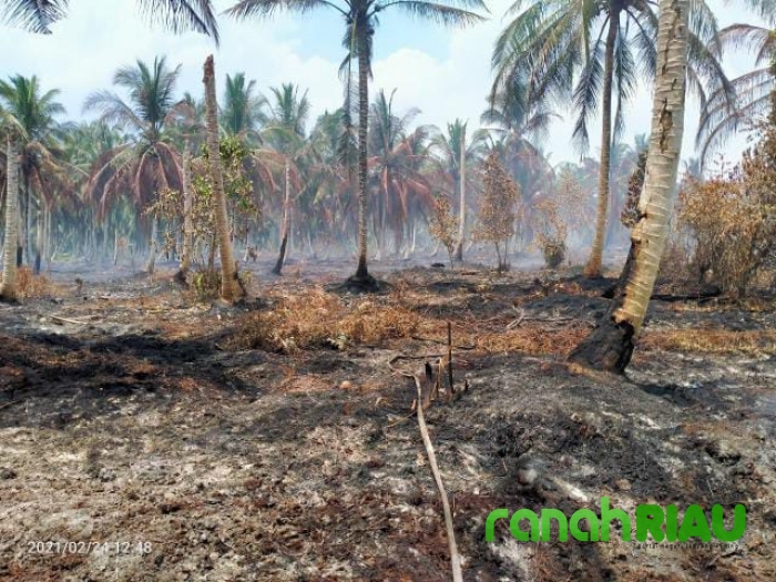 Lahan Masyarakat Terbakar, Titik Api Berasal Dari Lahan PT.CPK