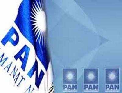 Percayakan Kepada Politisi senior, Ketua DPW PAN Riau Tak Ikut Pilgubri