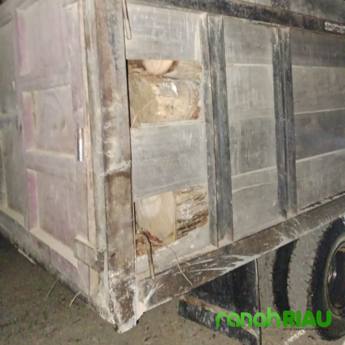 Hutan Lindung Terancam Gundul, Warga Teratak Geram dengan Adanya Aktivitas Illegal Logging.!!