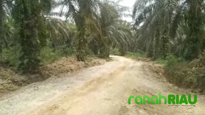 Penuhi Panggilan Kejati Riau, Mantan Kades Perhentian Sungkai Sampaikan Hal Mengejutkan.!