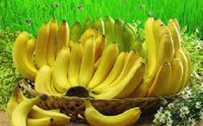 Cara Cerdas pilih Pisang yang bermanfaat
