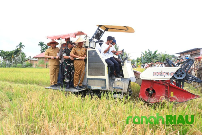 111 Brigade Pangan Dikerahkan, Produksi Padi Naik tapi masih Bergantung Pasokan Luar