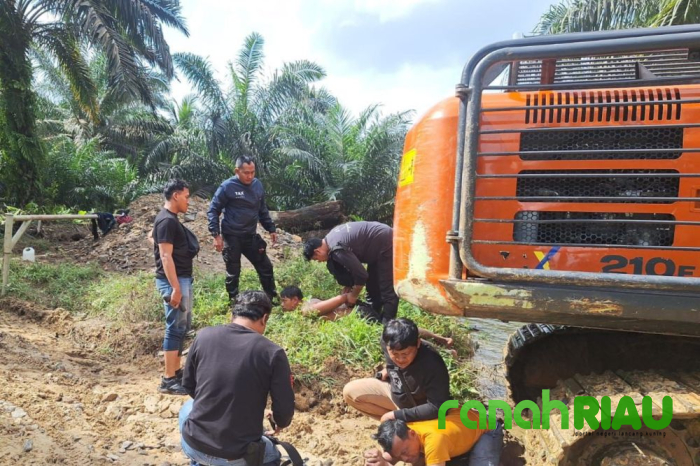 Ketahuan Garap Kawasan Hutan, Operator Alat Berat dan Helper ditangkap Polisi