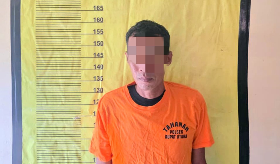 Polisi Ungkap Satu Orang Tersangka Karhutla 35 Hektare di Rupat Utara