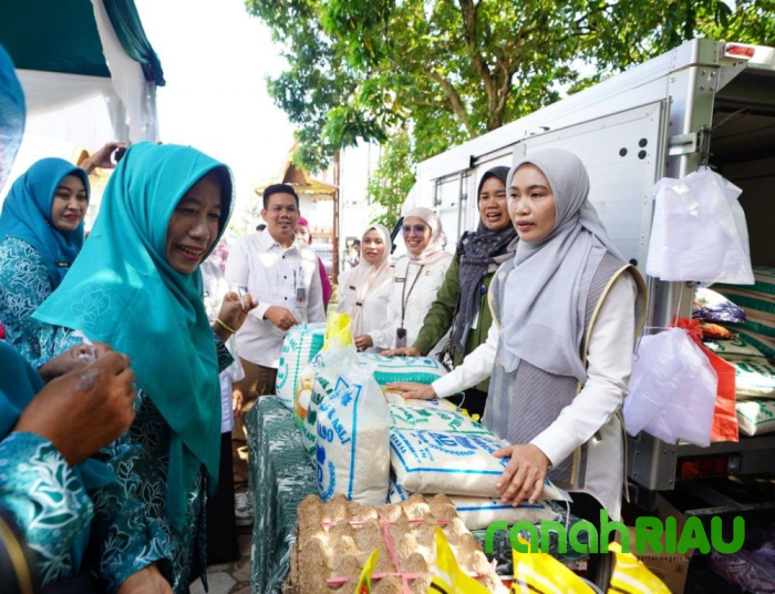 Harga Lebih Murah, Ketua PKK Riau dampingi Warga Mentangor Belanja di Pasar Murah 