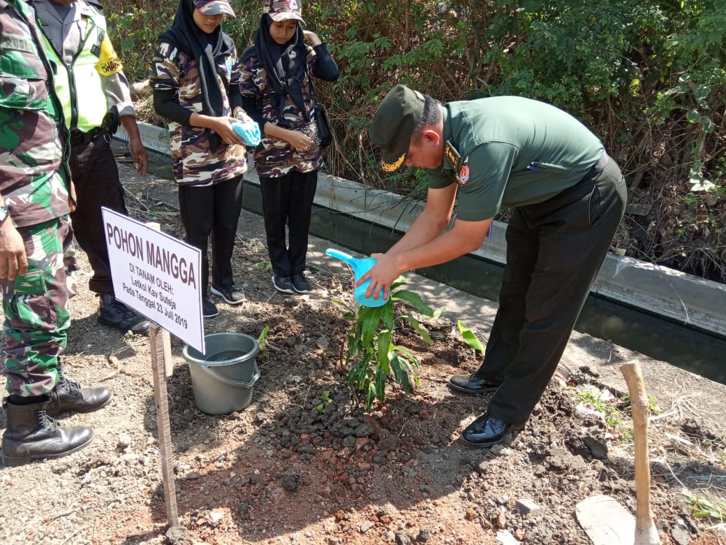 Letkol Kav Suteja,SH salah satu Tim Wasev TMMD Reg ke 105 Tanam Pohon Mangga.