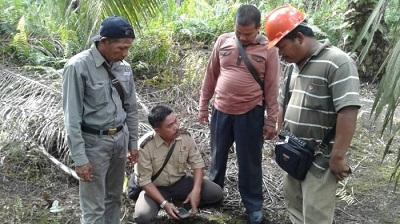 Tim BKSDA dan WWF Riau-Kepri Lakukan Survey kerumah Warga