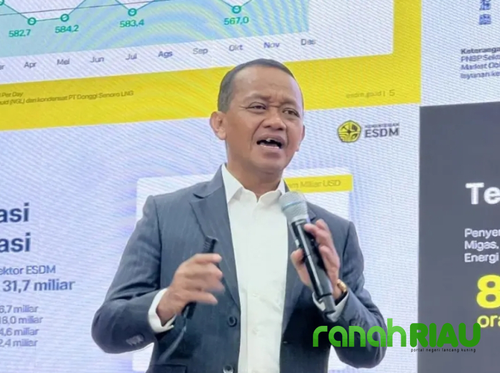 Niat Dongkrak Harga, Nikel RI malah Terancam jadi Importir di Negeri Sendiri